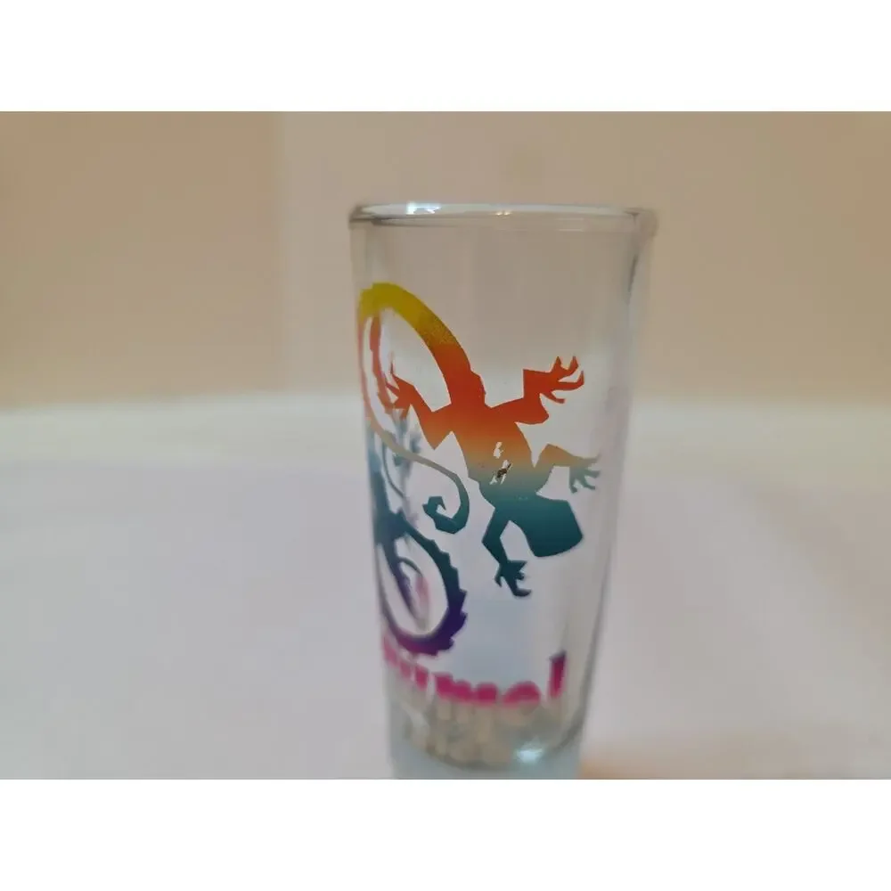 Cozumel Mexico Shot Glass 4